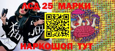 гидропоника Волжск