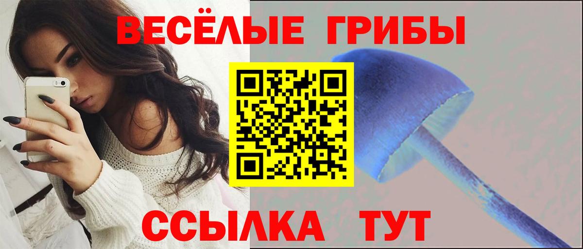 Псилоцибиновые грибы Psilocybe  Вход с VPN  Новоалтайск 