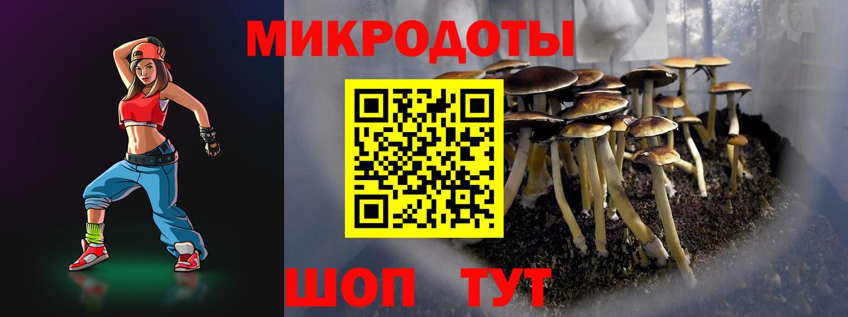 Псилоцибиновые грибы мицелий Новоалтайск
